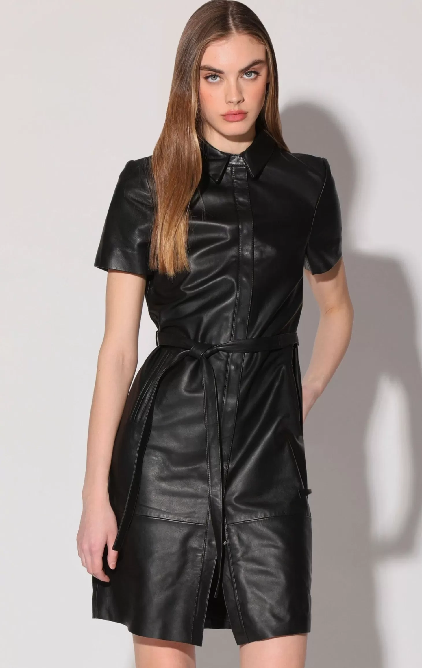 Chloe Dress, Black-Leather>Walter Baker Clearance